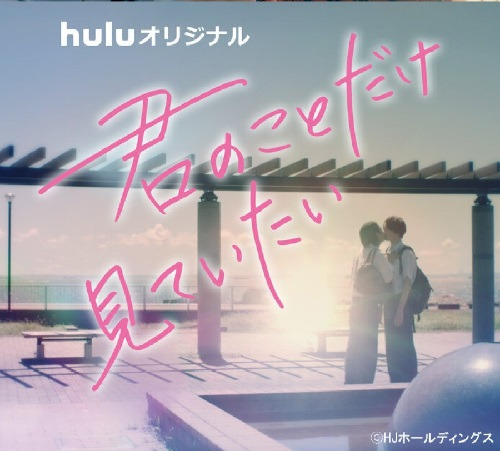 Kimi No Koto Dake Mite Itai Vostfr