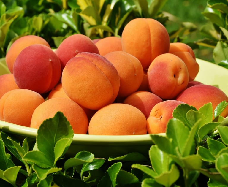 a bowl of peaches