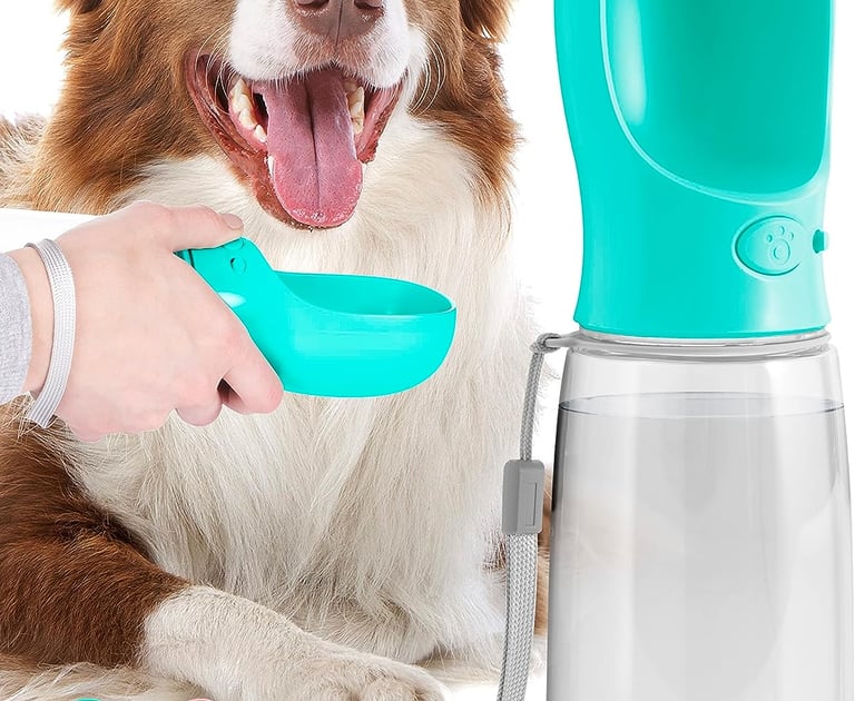 tips for dog travel dog transportation 
