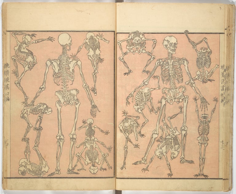 Kyosai manga depicting various skeletons in comic positions