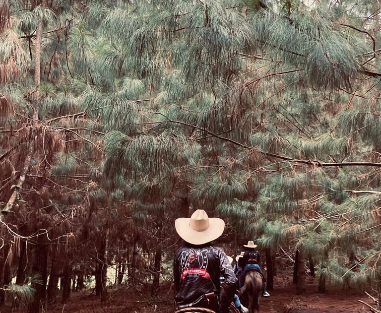 Persona cabalgando por hermosos paisajes en el lago calima