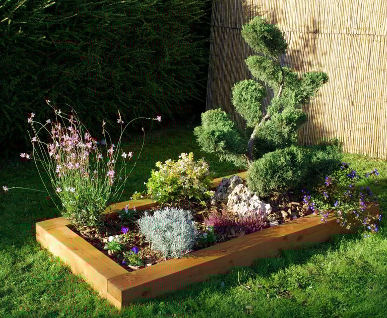 Tombe jardinée avec genevrier en bonsai, gaura, sedum, encadrement douglas, paillage naturel