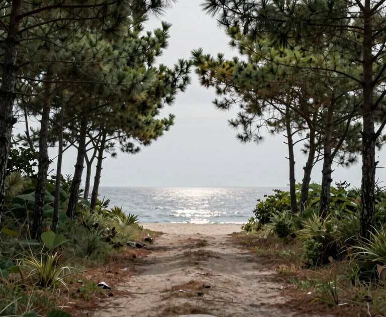 A path leading through a pine grove towards the sea, light grey sky, reflecting a steady journey toward a clear destination.