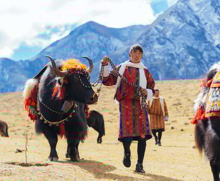 Layap_The_People_of_Laya_Pulling_off_His_Packed_Animal_Yak_during_laya-royal-highland-festival.jpg
