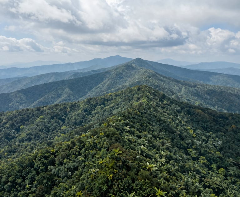An aerial photo looking down over layers of hazy green forest ridges under high white clouds in the North American / Appalachian Blue Ridge Mountains.
