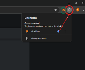 Metamask Pin extension