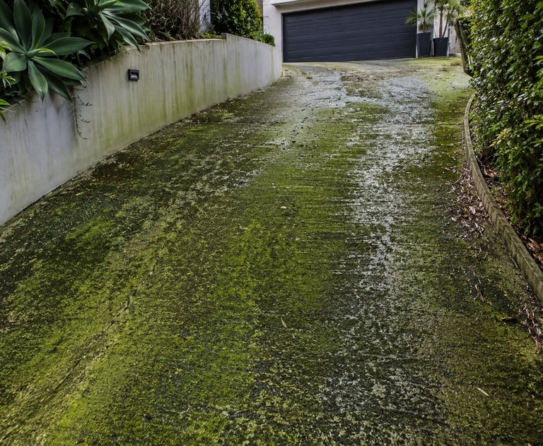 Dangerously Slippery Driveway