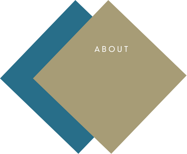 page header icon of 2 layered colored rhombi housing title "about"