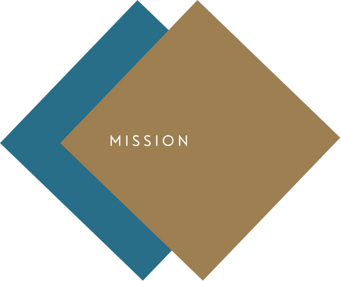 page header icon of 2 layered colored rhombi housing title "mission"