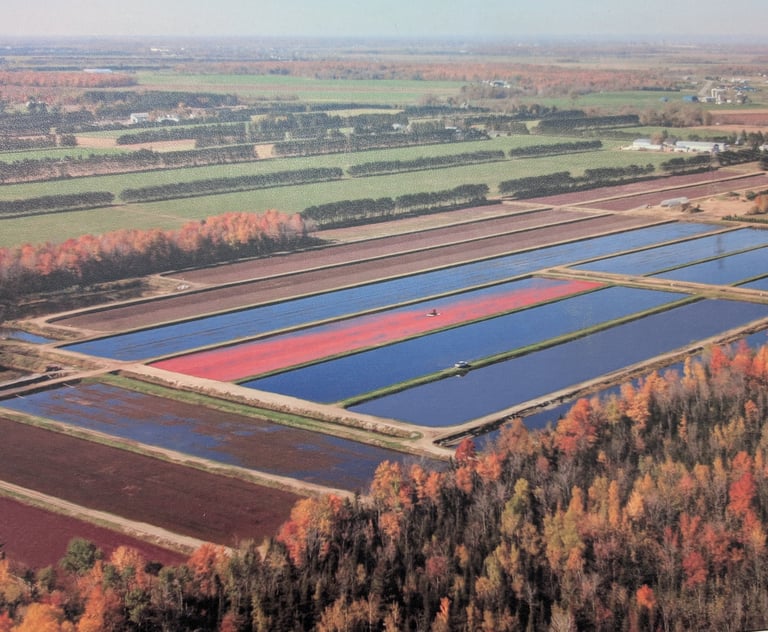 Bassins de canneberges lors de la récolte