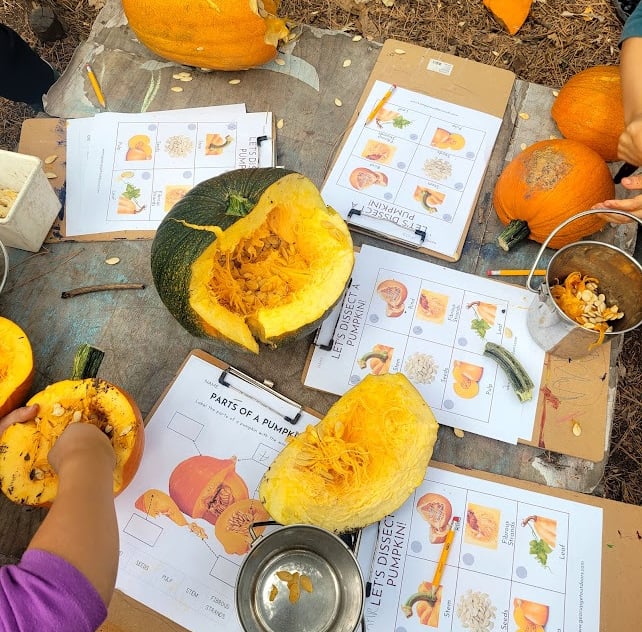 curriculum resources