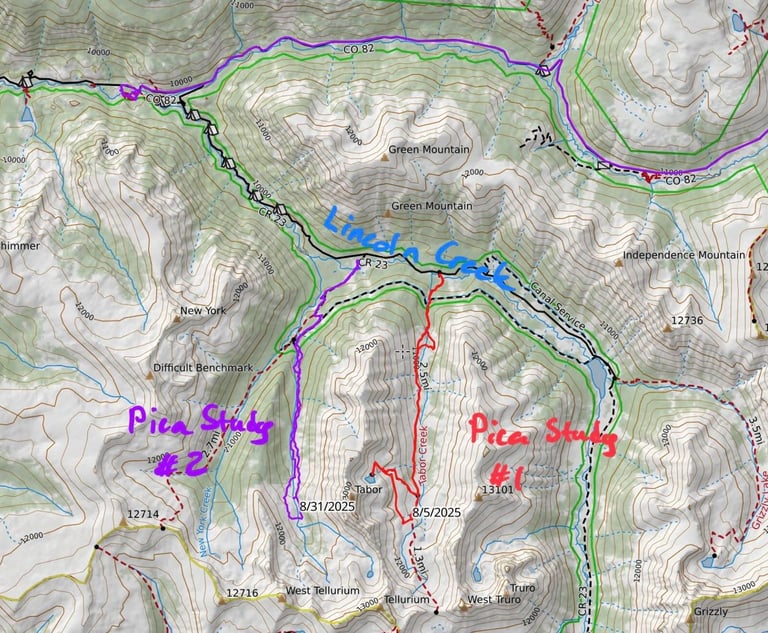 Pica Study tracks