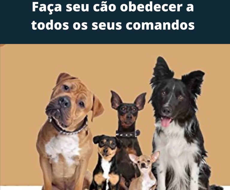 a dog sitting on a table with a dog and a dog