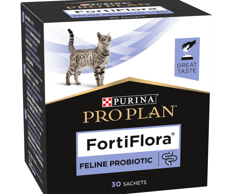 probiotique conseillé pour l'arrivée du chaton