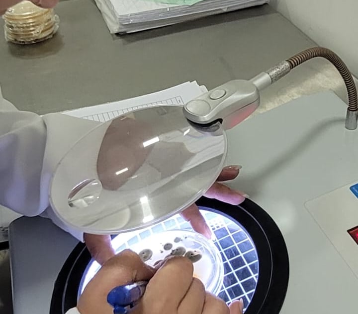 Profissionais do Laboratório AMB realizando análises laboratoriais em ambiente técnico equipado