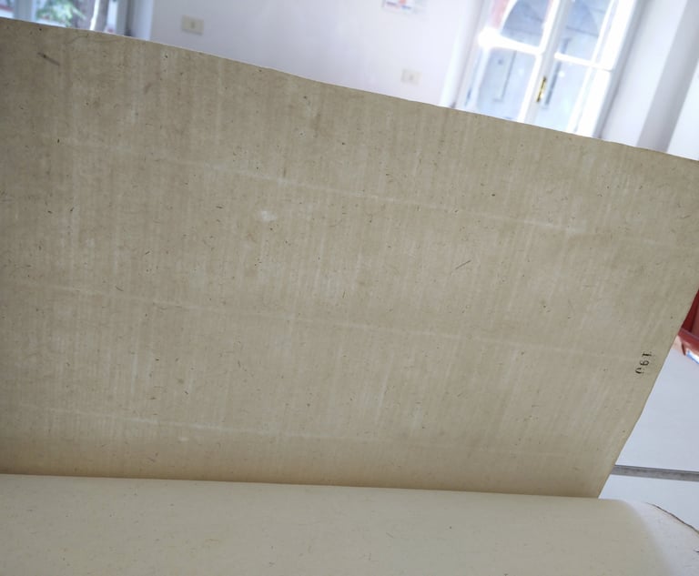 Markings from the wire sieve mould on a paper record from 14th century Parma.