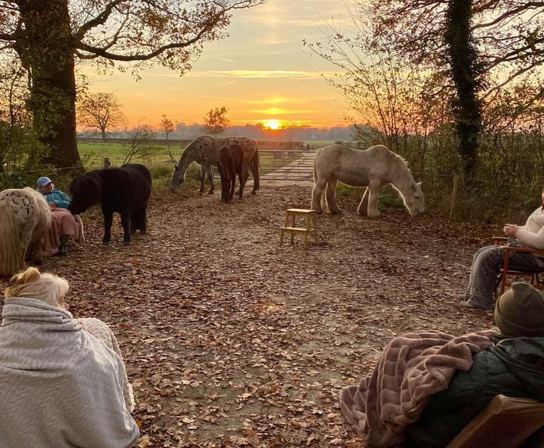 Mediteren met paarden