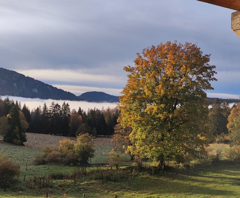Vue sur la Dent de Vaulion à La Petite Échelle : une destination idéale pour se ressourcer.