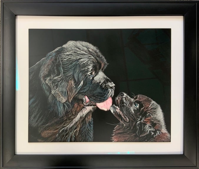 An adult new foundling dog looking affectionately at a Newfie pup, in scratchboard.