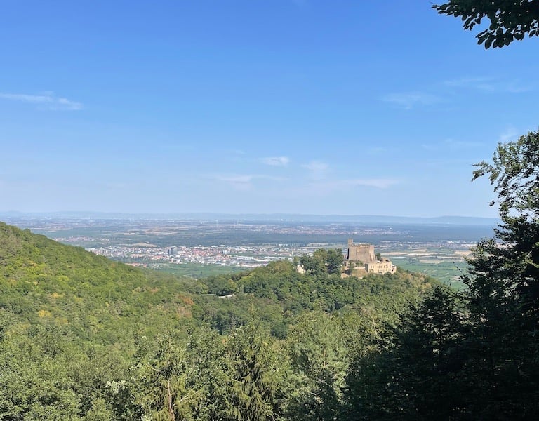 Hambacher Schloss Neustadt an der Weinstraße Annerschtwo