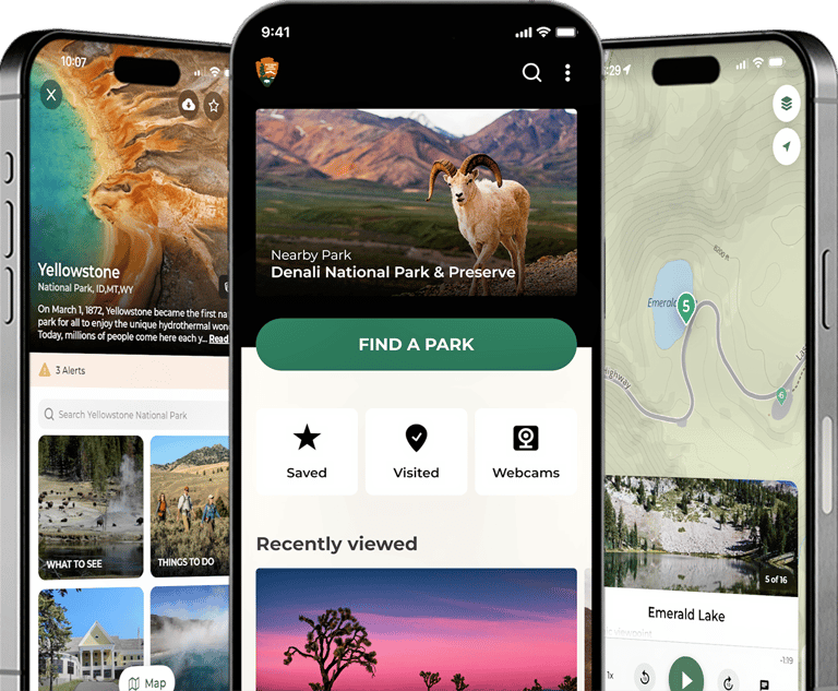 NPS app displayed on 3 smart phones