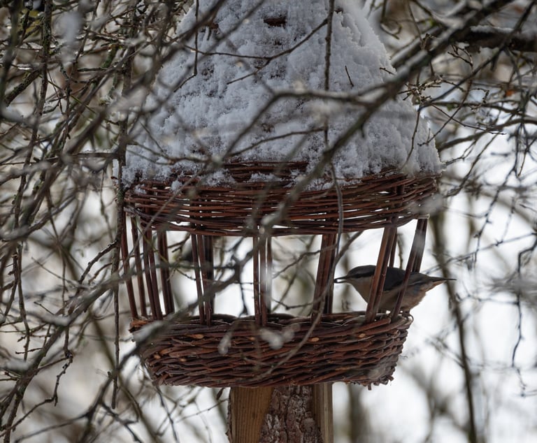mangeoire-en-osier-sauvage-avec-une-sittelle-torchepot