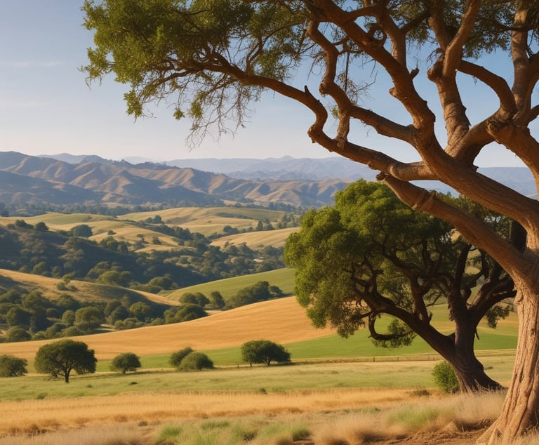 A sunlit office with a laptop, notebook, and a scenic view of the Santa Ynez Valley through the window.