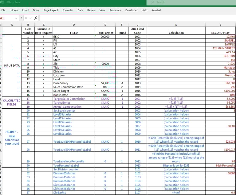 example data field summary in excel