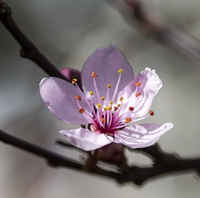 Séances de réflexologie et bols chantants. Accessible depuis Chaux-de-fonds, le Locle, Neuchâtel