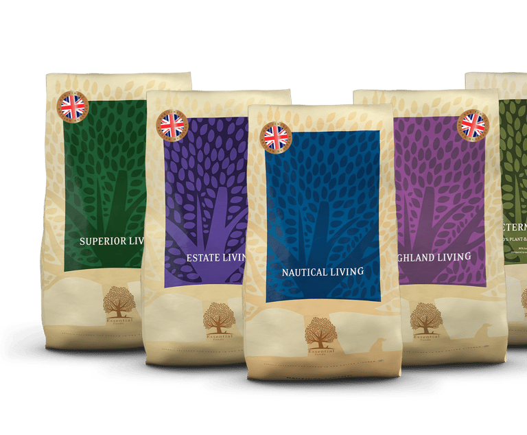 essential foods living