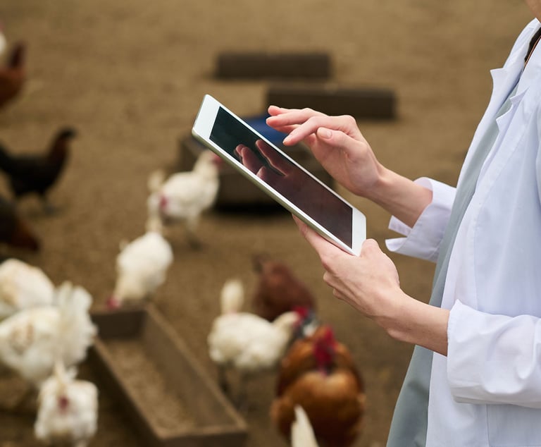 Controle e gestão Avicultura