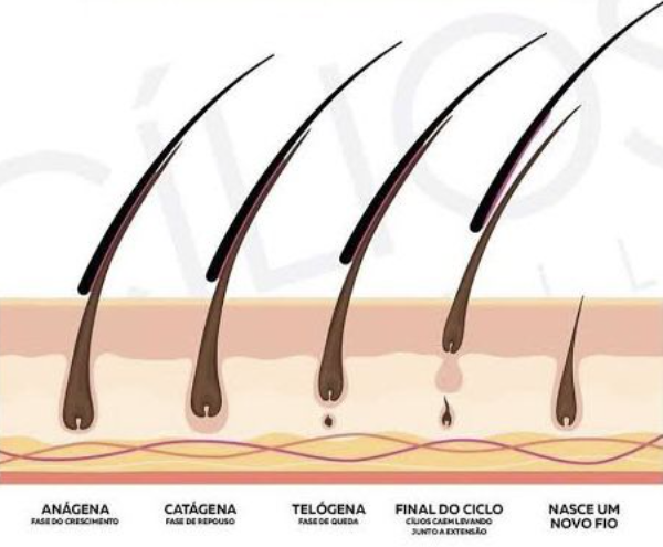 Designer aplicando extensão de cílios com isolamento preciso