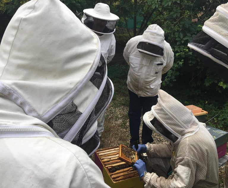 Formation La Miélodie d'Abeilles