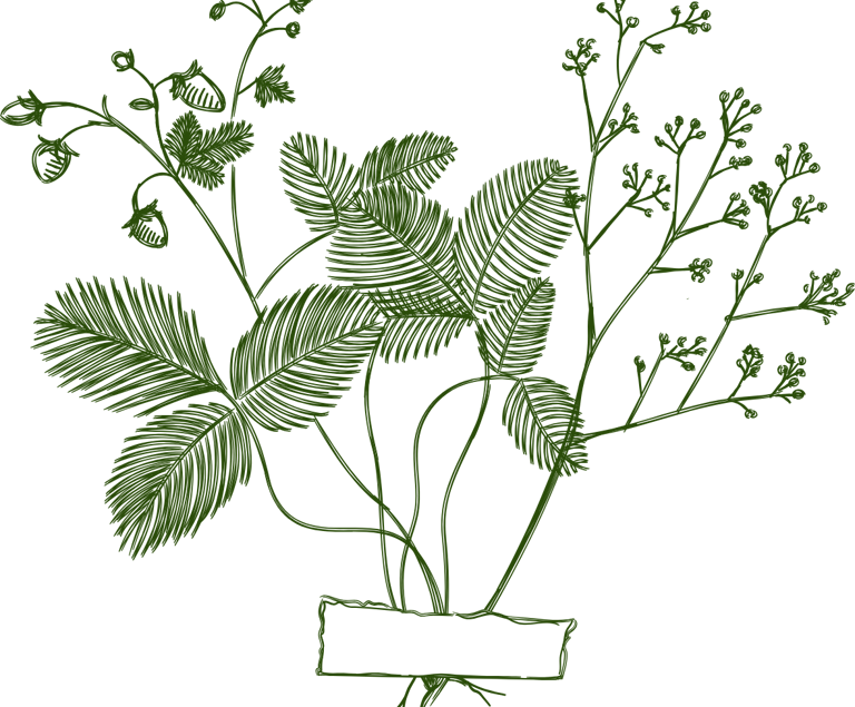 feuillage décoratif