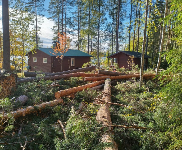 pihapuunkaato leppävirta