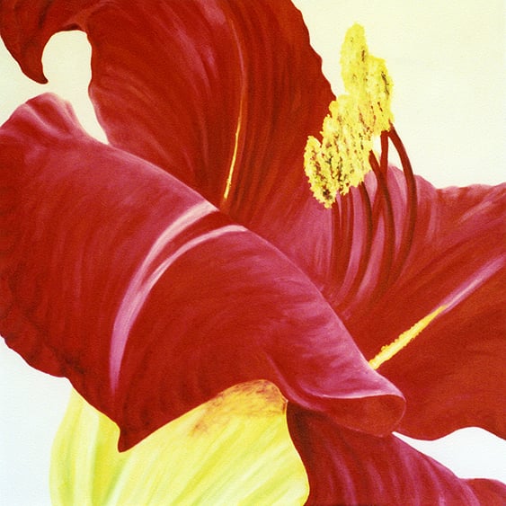 floral flower art painting for sale or commission artist from your photo