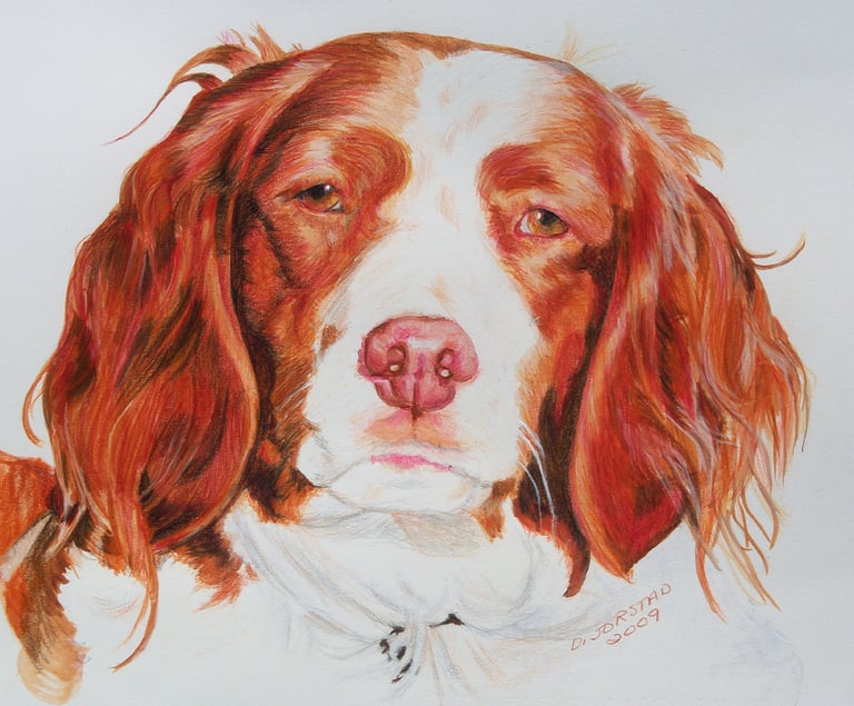 pet dog portrait artist art painting from your custom photograph colored pencil