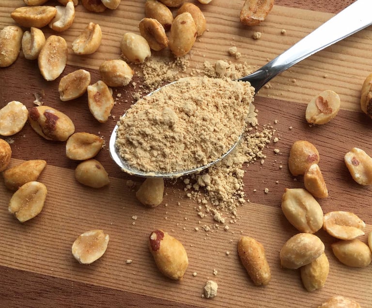 High protein defatted peanut butter powder on spoon for sports nutrition market