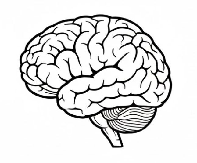 black and white outline of brain