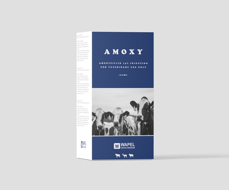 Amoxy Medicine