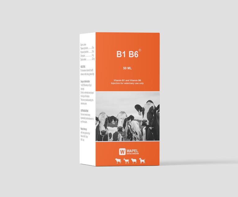 B COMPLEX INJECTION FOR ANIMALS