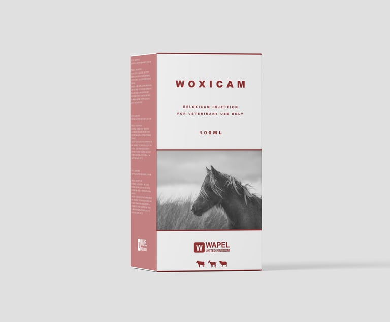 WOXICAM Medicine