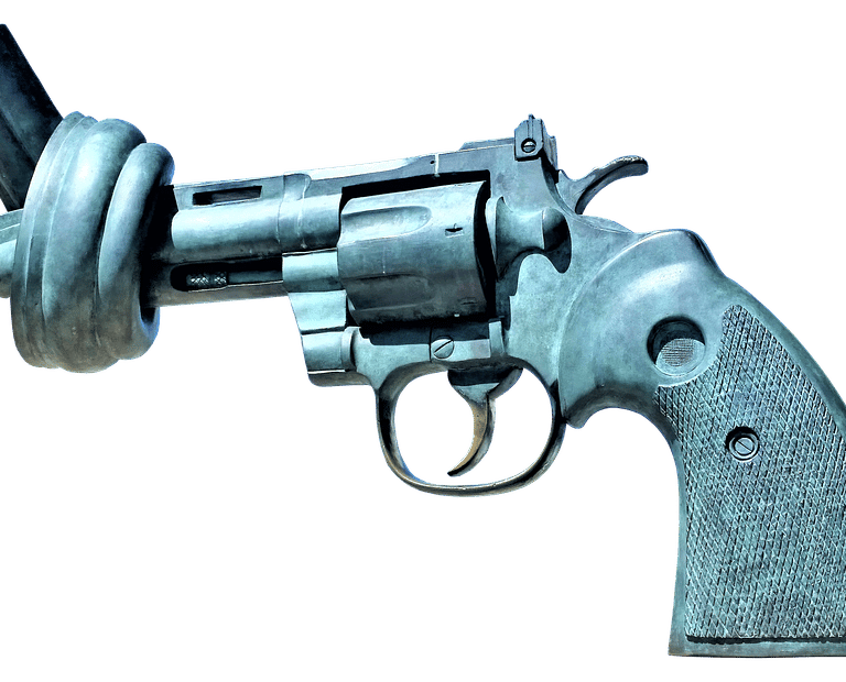 hr 127, insanity on steroids, gun control, project give a shit, project gas
