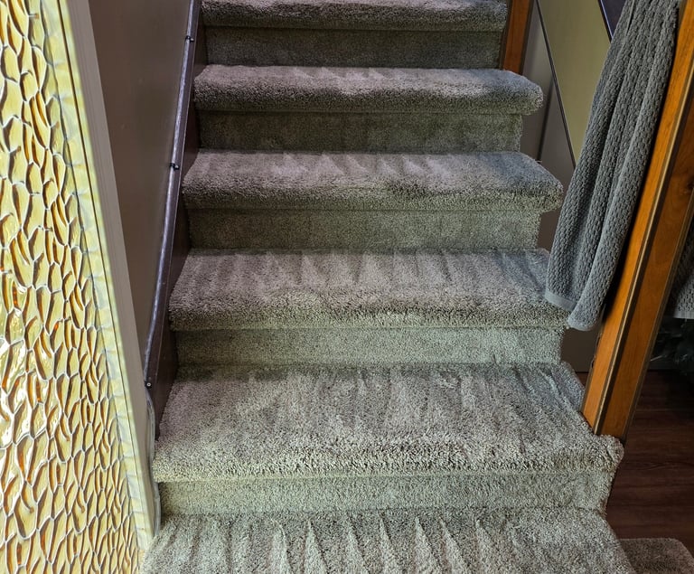 Carpet fibers after professional steam cleaning