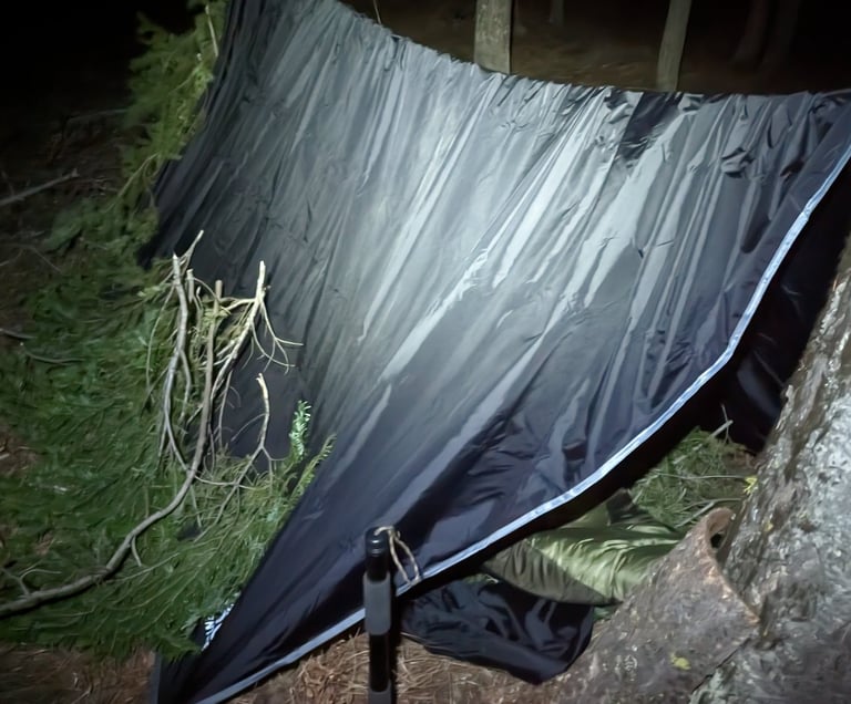 My overnighter in the woods