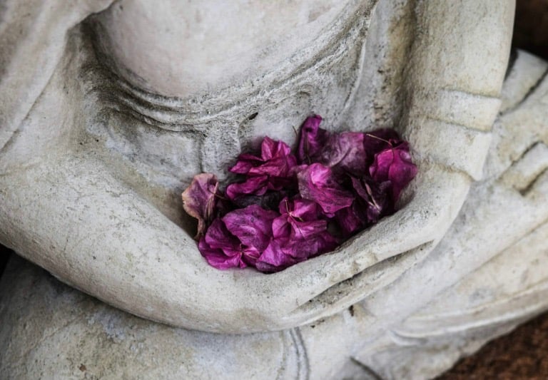 Purple dried flower petals resting in the cupped hands of a stone Buddha statue.