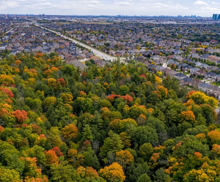 A patch of forest on the edge of a city in York Region.
