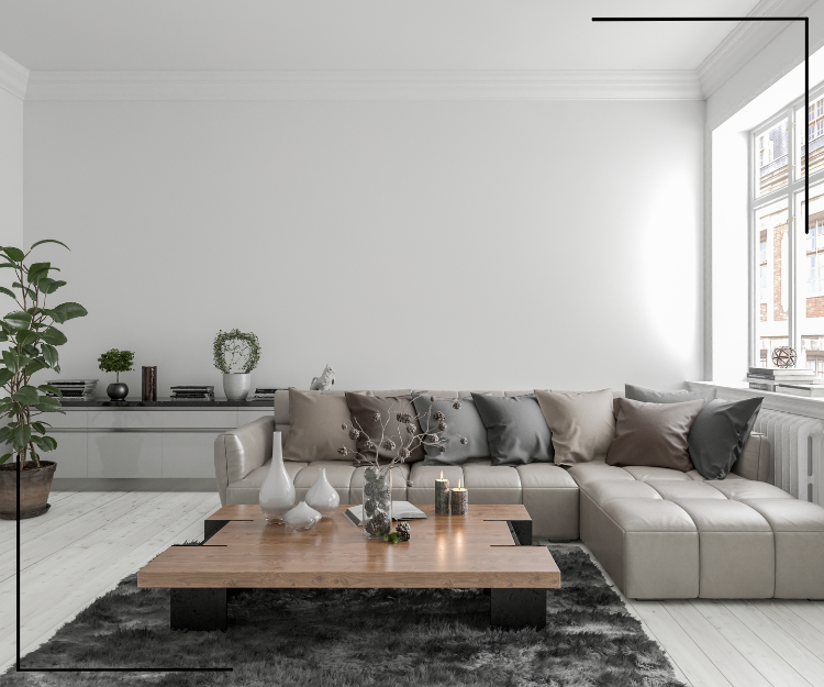 Monochromatic Theme Living room
