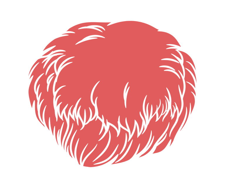 Mane Brain™ offers premium mushroom-based wellness products designed to support focus, memory.