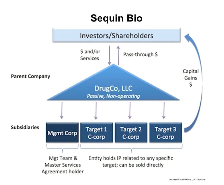 Sequin Bio Structure of Company